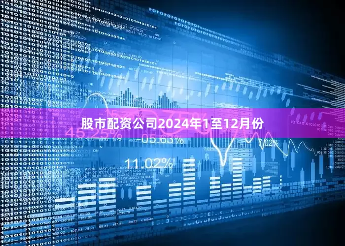 股市配资公司2024年1至12月份