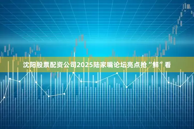 沈阳股票配资公司2025陆家嘴论坛亮点抢“鲜”看
