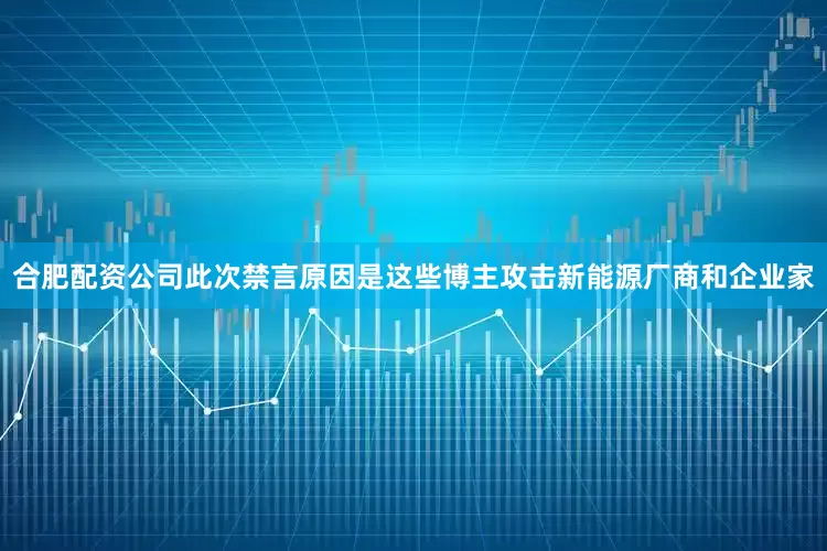 合肥配资公司此次禁言原因是这些博主攻击新能源厂商和企业家