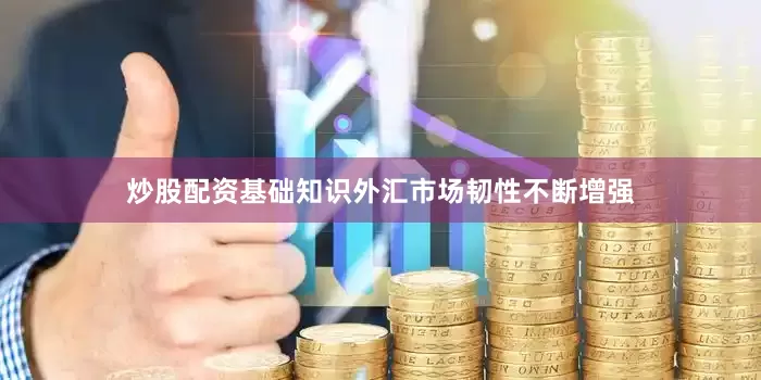 炒股配资基础知识外汇市场韧性不断增强